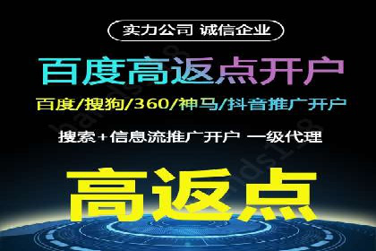 专业SEM运营托管服务案例分析